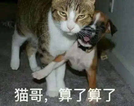 鸡哥算了算了什么梗表情包图片大全
