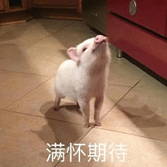 急急如律令,2019年社区春晚门票设计等你来战
