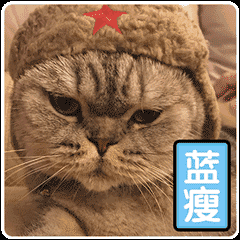 斗图斗累了,教你画自己的表情包附视频
