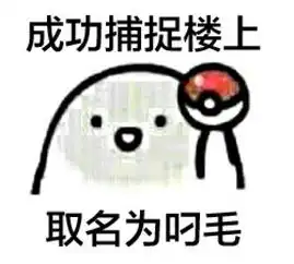 成功捕捉楼上堆糖,美好生活研究所
