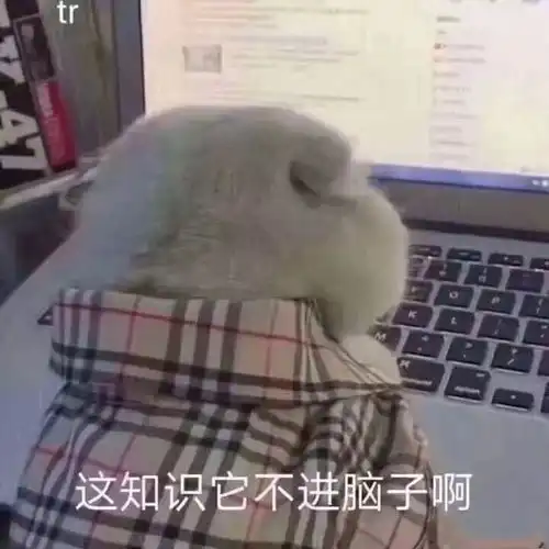 考试月如何高效学习实验报告单告诉你
