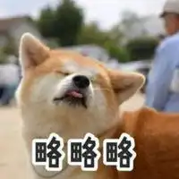 搞笑动物表情包微信头像图片大全
