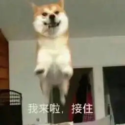 人民号童鞋,支付宝来了

