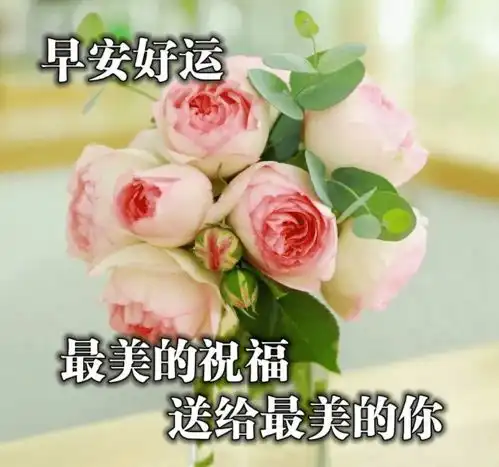 励志祝福问候语录
