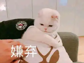 嫌弃表情包合集
