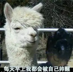 搞笑的说说配图
