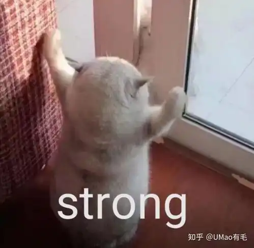 猫咪会感冒吗
