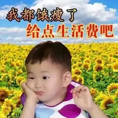 斗图必备表情包,热门沙雕图
