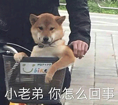 父母也喜欢打游戏是种怎样的体验
