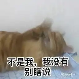 xuexi
