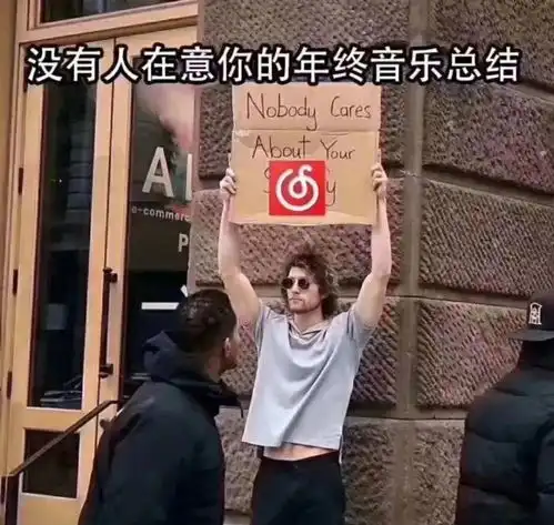 沙雕表情包没人在意你的年终音乐总结
