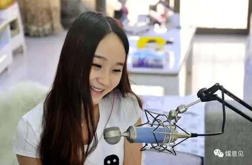 媒意见视点网络主播如何活在阳光下
