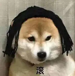 这绝对是史上最全的柴犬表情包了