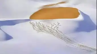 图画里的中国中国摄影师拍表情包竟拿国际大奖
