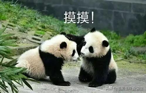 虽然最近热度起来了,但是有些话我还是得说
