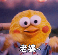 鹦鹉兄弟表情包合集第一弹
