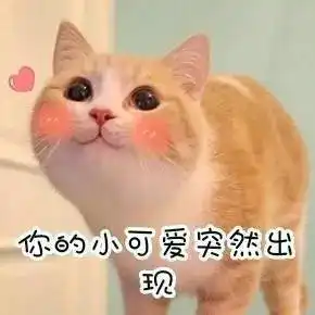 华为5g手机复活,华为nove9的孪生兄弟来了
