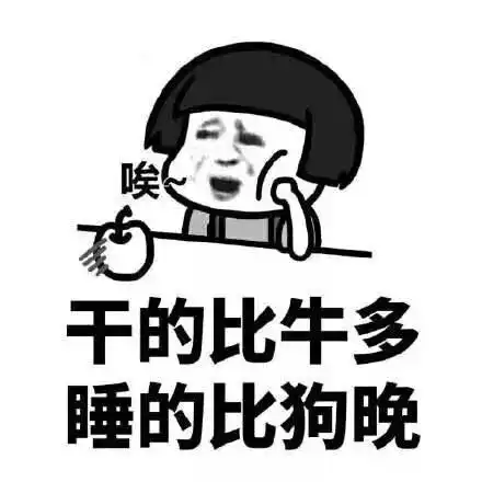 2019个人总结表情包代表我的心
