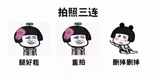 据说用过这套三连表情包的,都看到了不一样的美景
