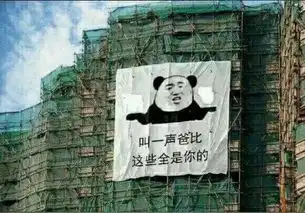 求这一系列的斗图表情,什么关爱傻子的眼神之类的
