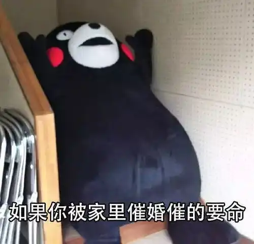 新年快到了,团团教你如何拒绝七大姑八大姨的催婚...
