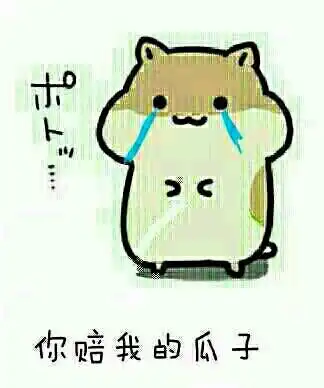 方丈要砸道长场子大叔你表情好迷离
