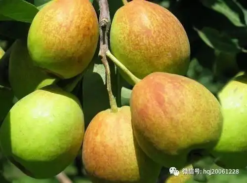 惠仟佳超市周末抢鲜购,太便宜了一定要尽快买哟
