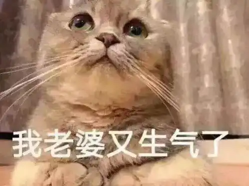 哄老婆专用表情包我老婆就是可爱,老婆我想你了,我真的知道错了
