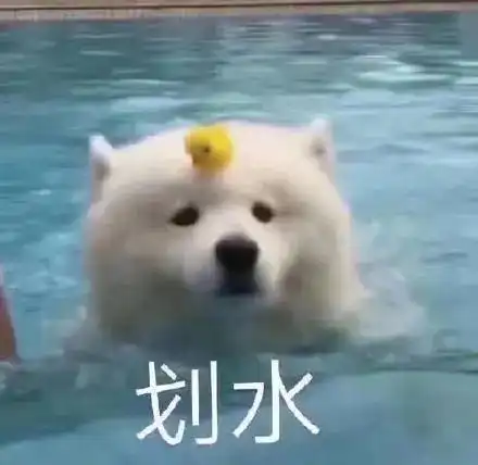 表情包摸鱼划水系列
