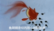 小蝌蚪找妈妈图片小蝌蚪找妈妈表情包gif下载乐游网游戏下载

