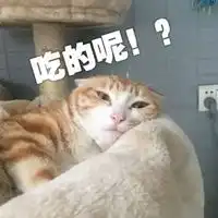 我不能接受表情包
