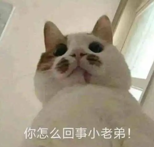 学生党斗图必备,最新沙雕表情包我枯了,你呢
