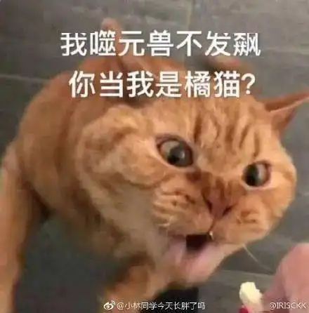 我寻思一只猫能有多丑看完后,我真吸不下去啊
