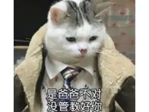 正惊游史游戏史里人气最高的猫不仅会唱跳rap打太极,打架比队友还给力

