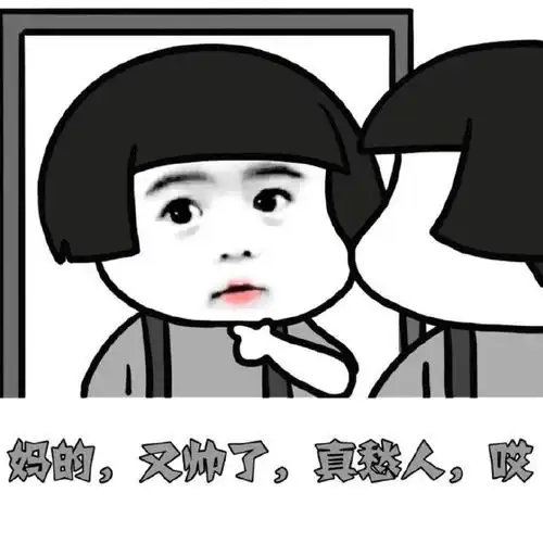 微信斗图表情包你装逼的样子真好看
