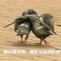 兄弟表情包
