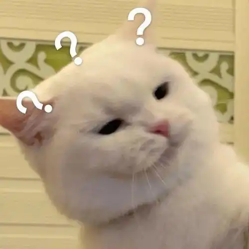 热门动漫头像
