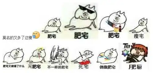 肥宅表情包
