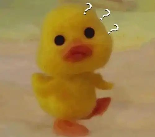 我的收藏
