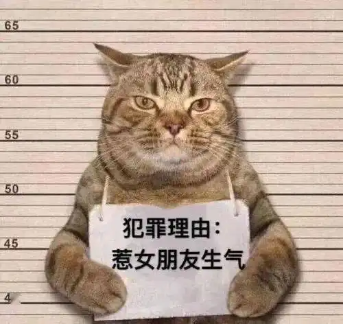 抖音近期最火的表情包,是这些