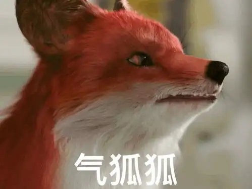 三生三世枕上书表情包有哪些
