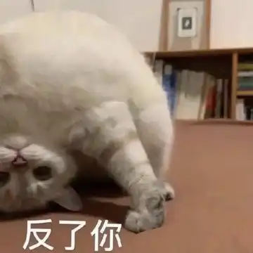 全站相册标签吸猫
