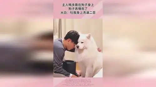 主人喝多靠在狗子身上,狗子表情亮了,大白吐我身上洗澡二百
