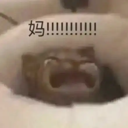 妈宝表情包
