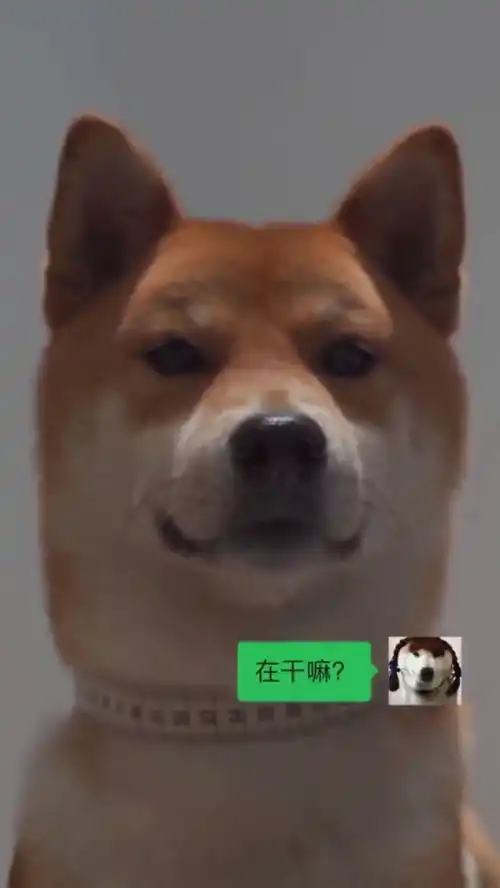 狗子这表情拿捏真到位,这轻浮的笑容,诠释了什么是渣男
