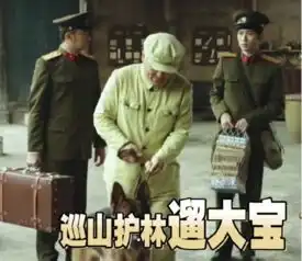 qq大头表情包
