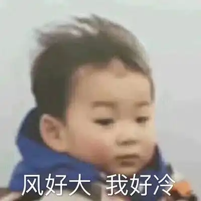 表情包沙雕日常你在干森莫
