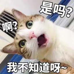 对我有意见吗捏碎你的蛋蛋捏碎蛋蛋意见表情
