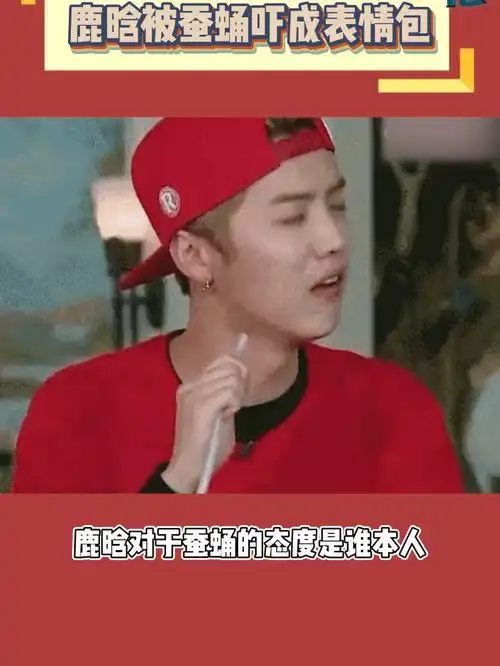 鹿晗被蚕蛹吓成表情包,看来鹿哥这胆量还是得练练啊
