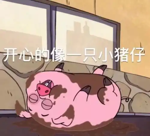 中南和猪有什么关系
